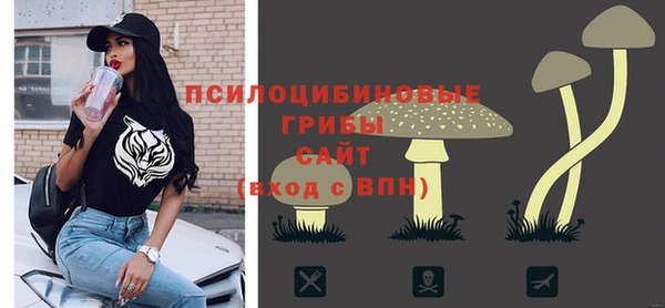 молекула духа Белоозёрский