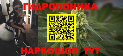 трава Котовск