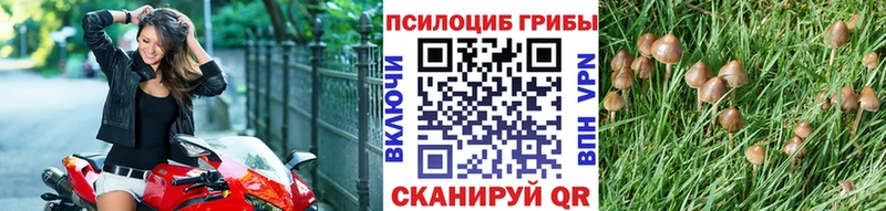 где найти MEGA ONION Псилоцибиновые грибы GOLDEN TEACHER Благодарный