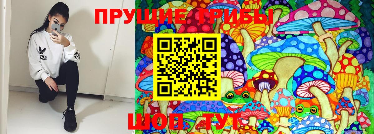 Галлюциногенные грибы Magic Shrooms  Вход с VPN  Галлюциногенные грибы Cubensis  Благодарный 